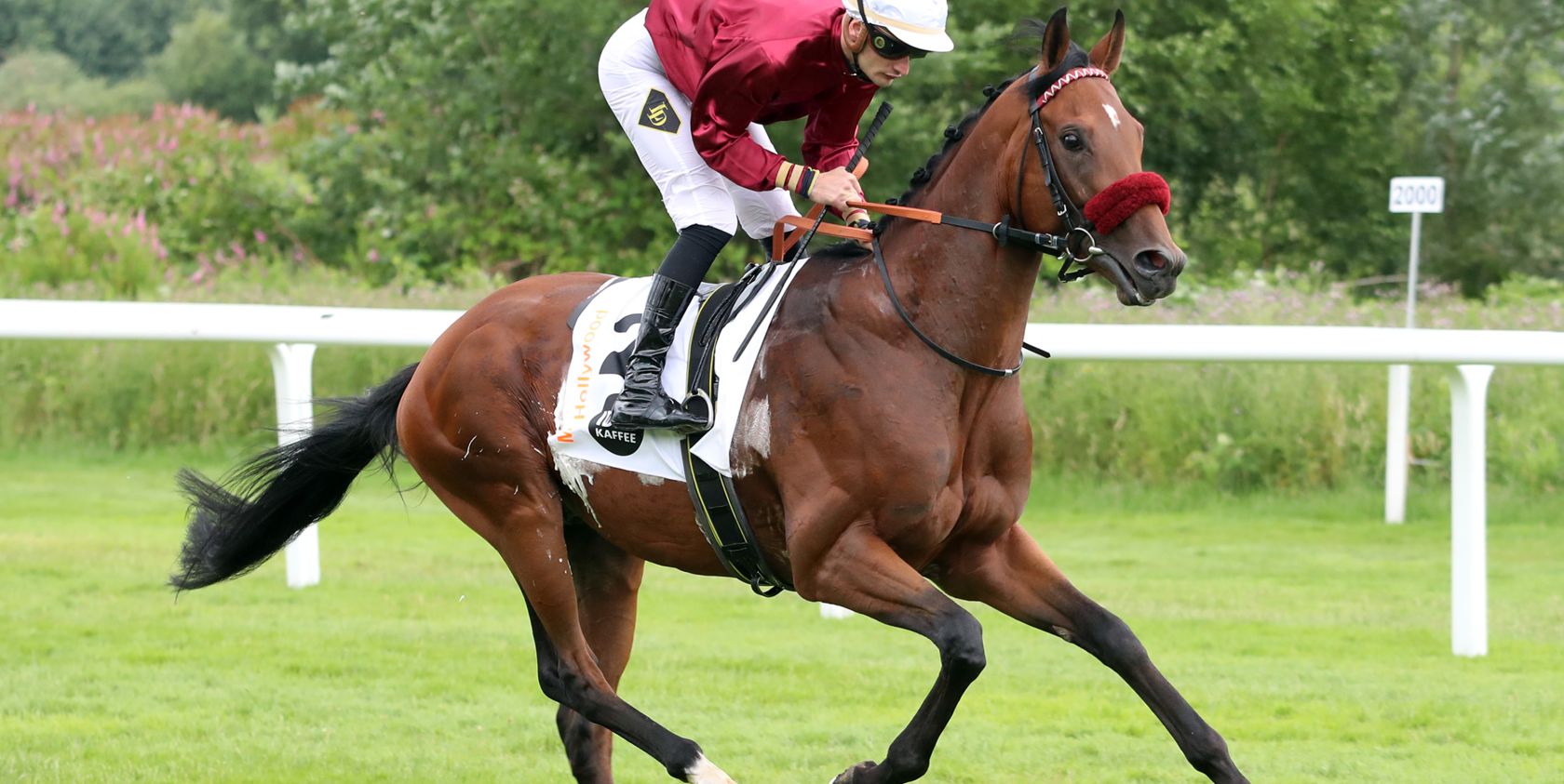 Der große Derby-Vortag rund um den WETTSTAR.de – Grosser Hansa Preis